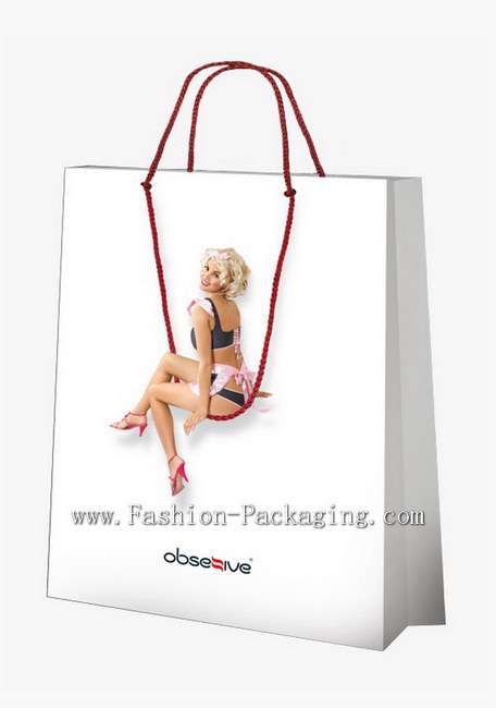 Fancy Design Idea for Lingerie Shopping Bag