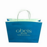 Printed Color Paper Gift Shopping Bag