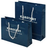 Luxury Paper Shopping Gift Bag with Buyer's Logo