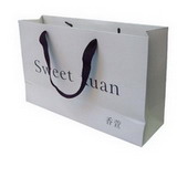 Luxury Paper Shopping Gift Bag with Handle