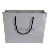 Paper Shopping Gift Bag with Rope Handle